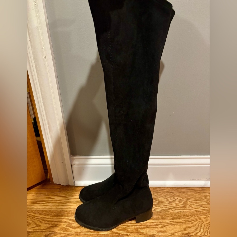 Shoe N Tale Thigh High Books Worn Once